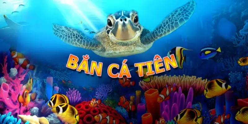 ban-ca-tien-abc8