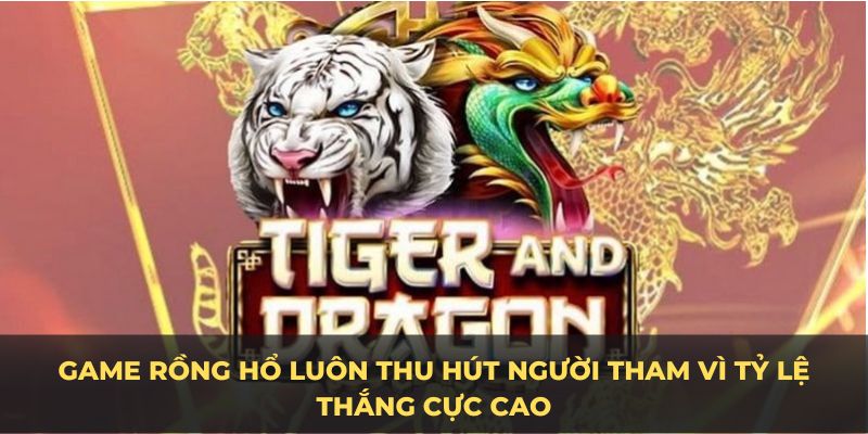 casino-abc8-game-rong-ho-luon-thu-hut-nguoi-tham-vi-ty-le-thang-cuc-cao