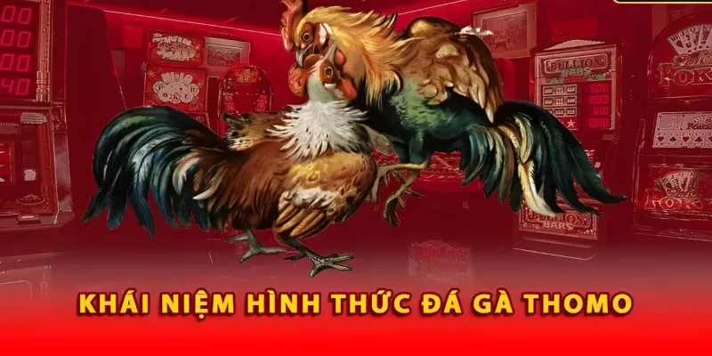 truong-da-ga-thomo-ton-tai-va-phat-trien-lau-doi